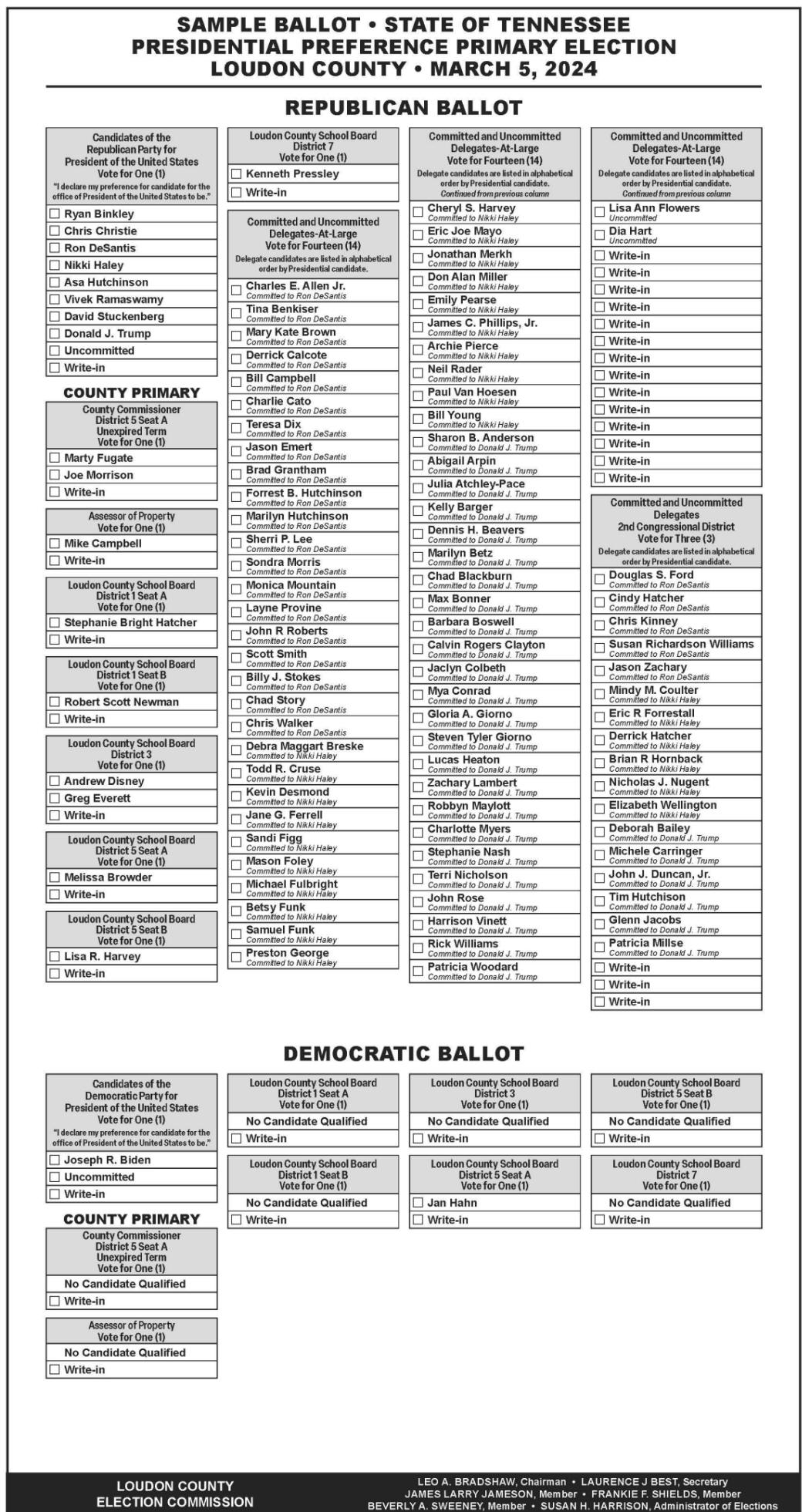 Ballot For March 2024 Election - Bobbe Marinna